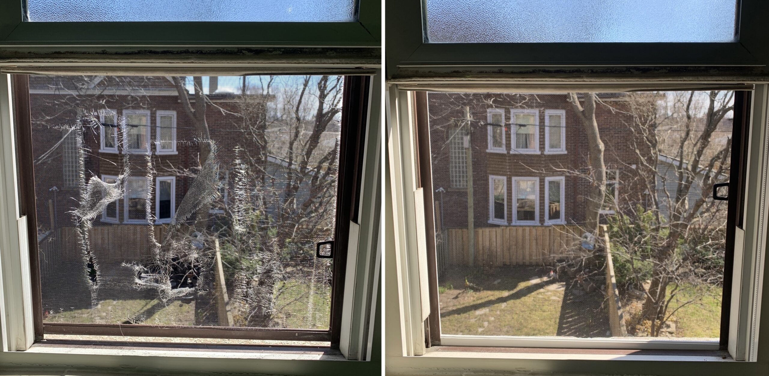 5 Easy Steps To Repair Your Torn Window Screen Mesh