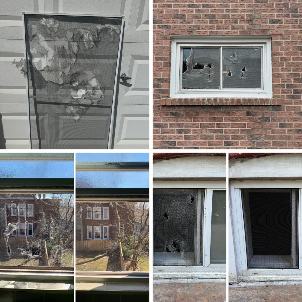 window screen mesh repair service GTA