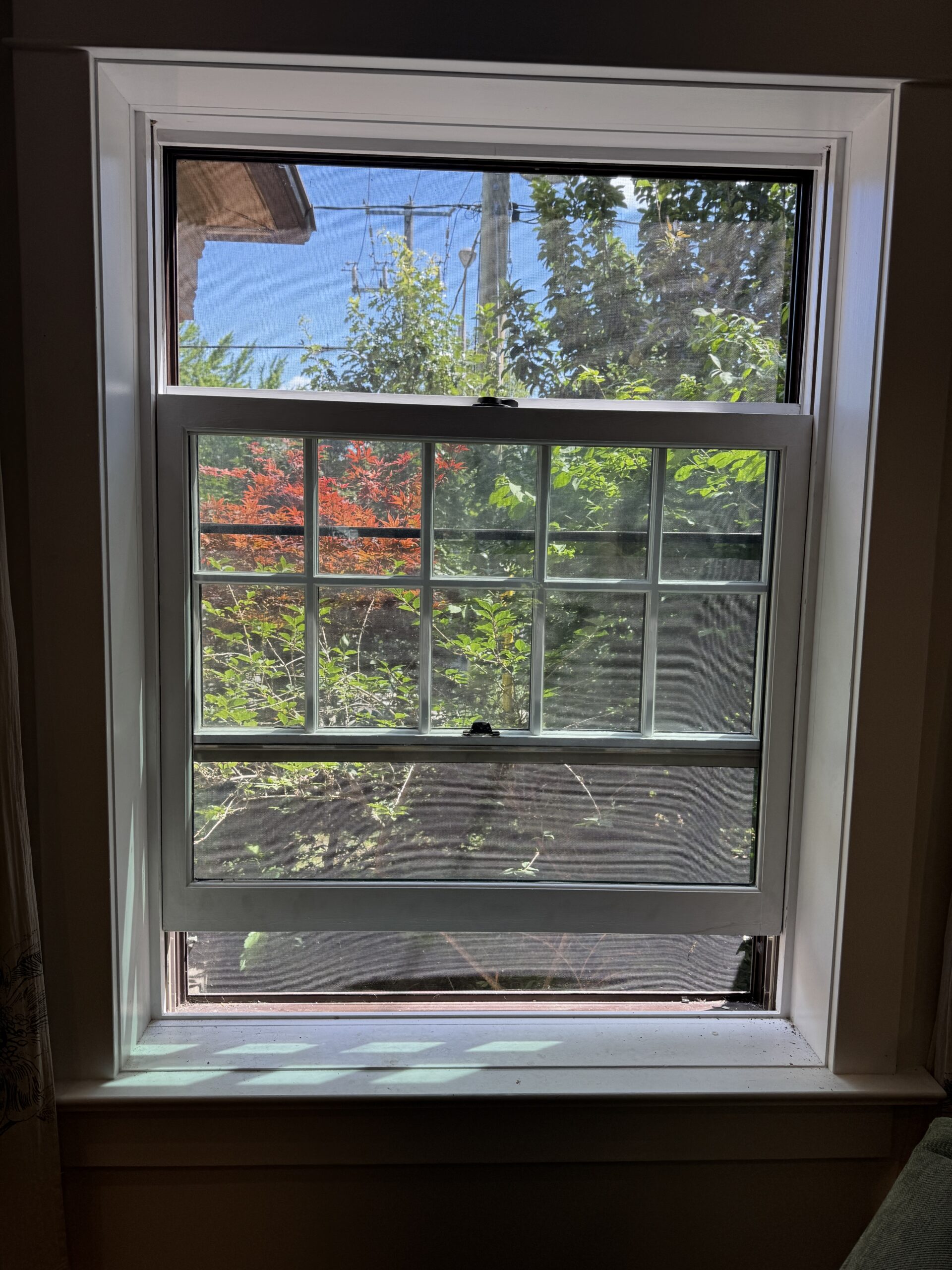 Which Type of Window Is the Most Energy Efficient in Toronto and the GTA?