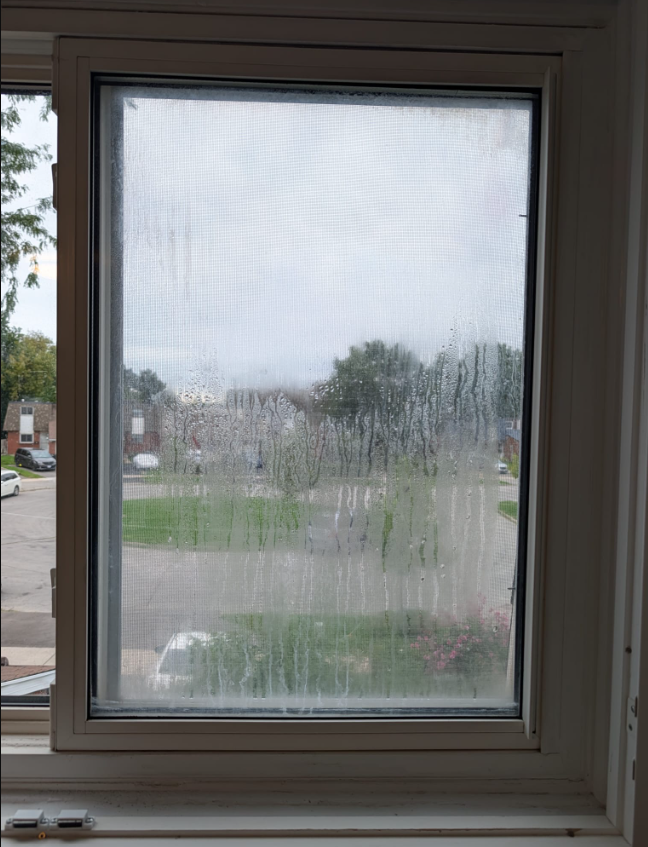 What Are the Signs My Window Seals Have Failed?