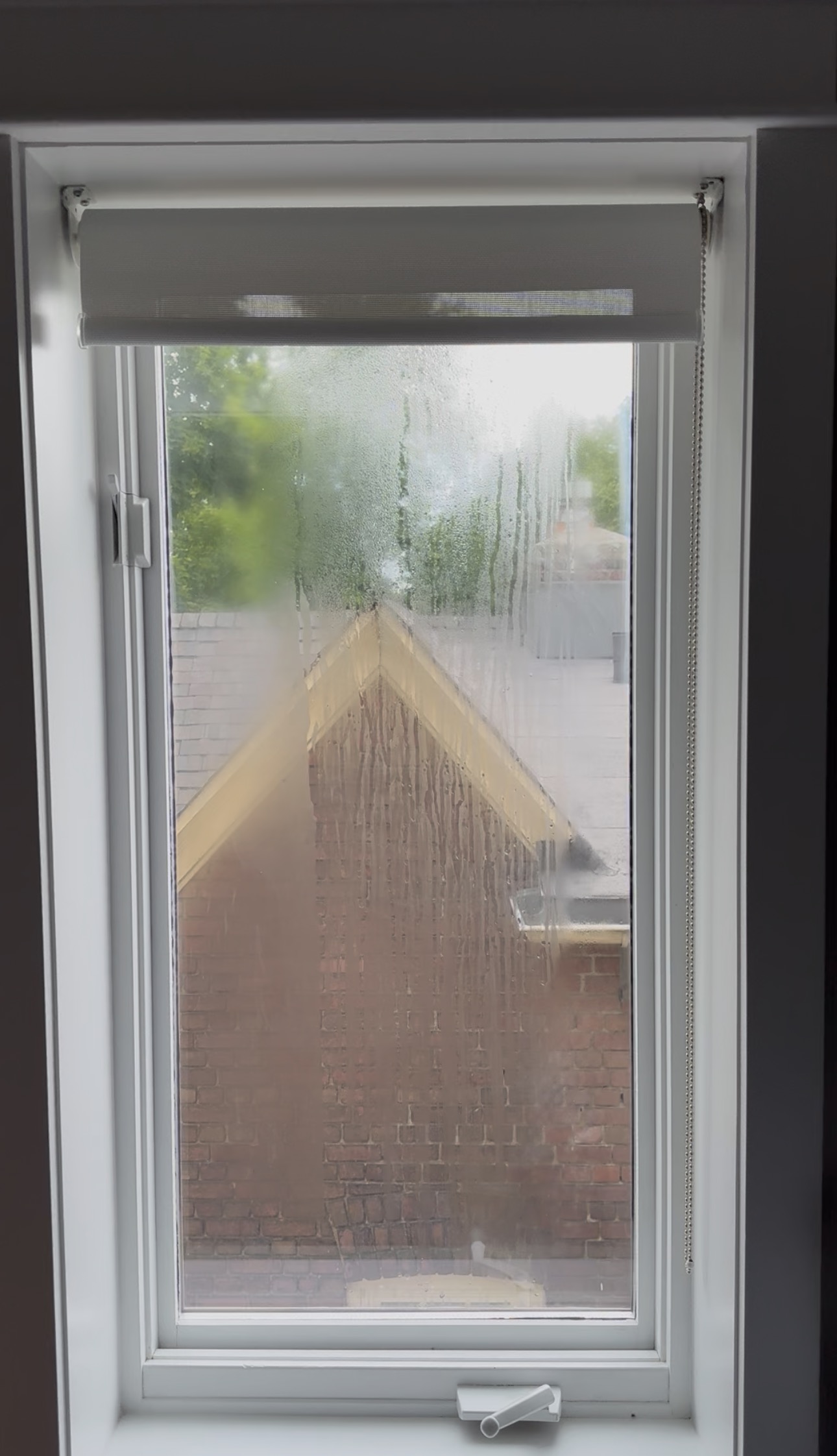 What Is the Lifespan of a Wood Window in Toronto and the GTA?